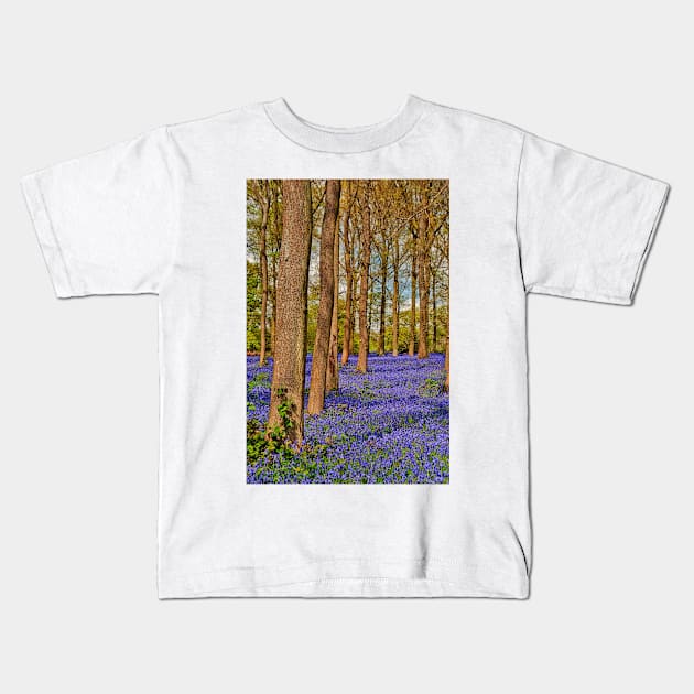 Bluebell Woods Greys Court Oxfordshire England UK Kids T-Shirt by AndyEvansPhotos